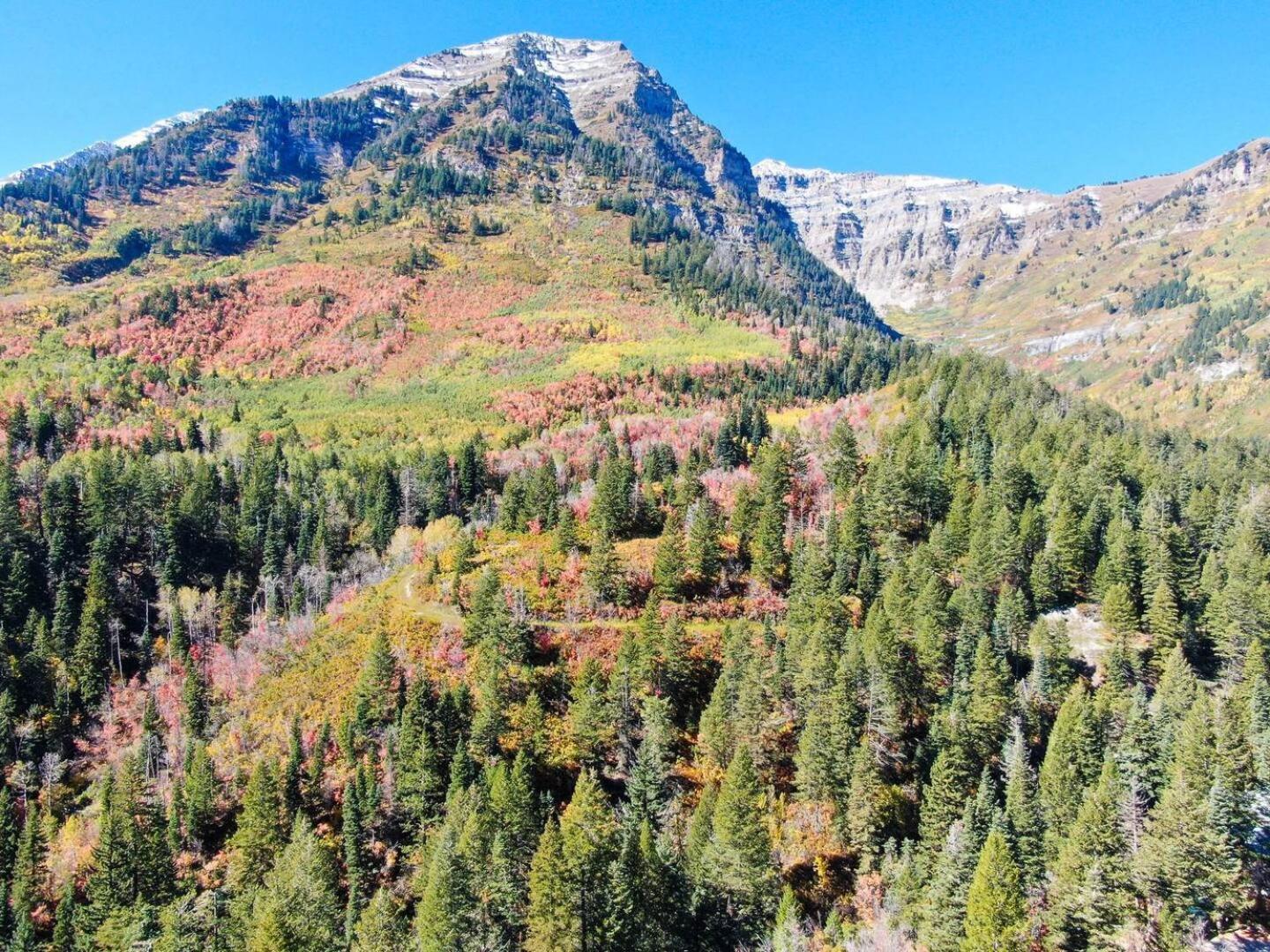 Luxury 4Br Mountain Retreat Near Sundance Resort Exterior foto